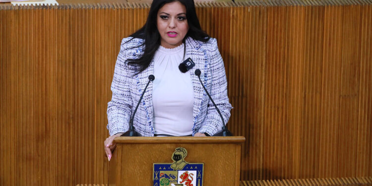 Piden aclarar recursos de programas sociales