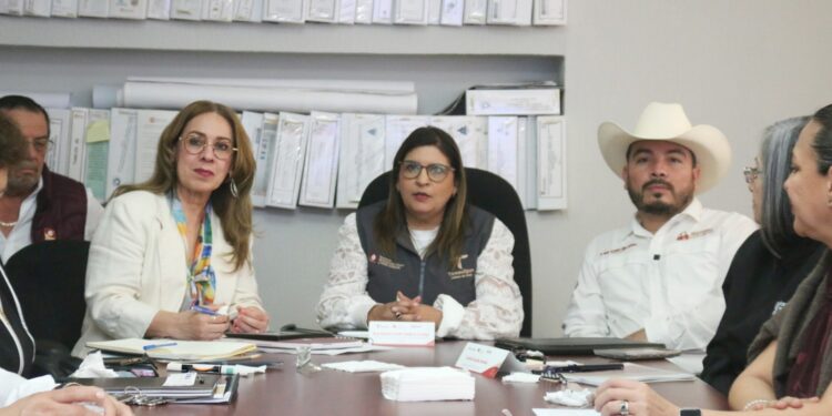Avanza zona metropolitana de Tamaulipas y Veracruz en estrategia de crecimiento
