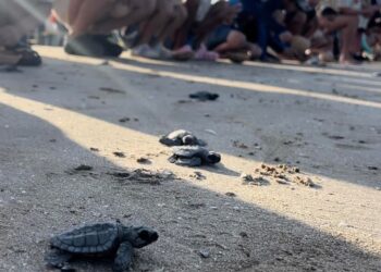 Proyectarán en televisión las maravillas naturales de Tamaulipas: CPBT