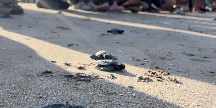 Proyectarán en televisión las maravillas naturales de Tamaulipas: CPBT