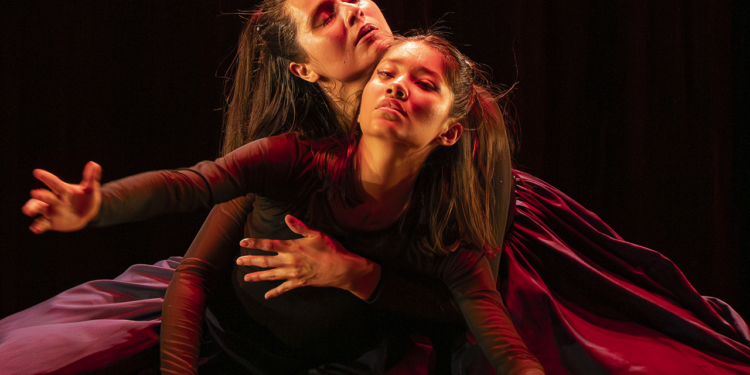 Reflexiona Pájaro Arte Escénico con danza sobre la vida y la muerte