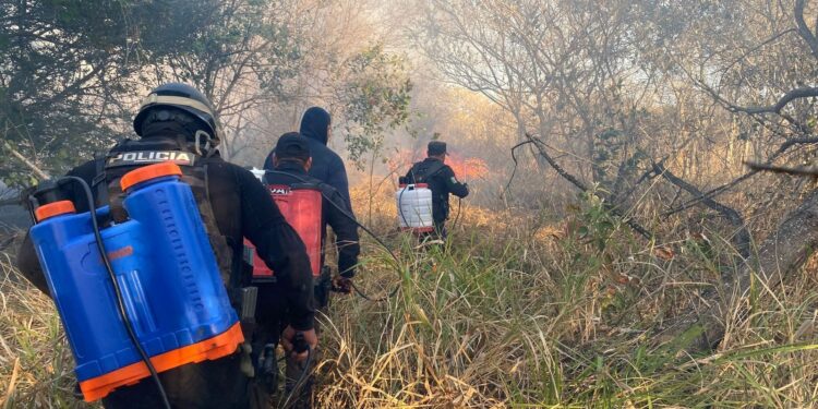 Activa SSPT Plan Tamaulipas por incendios forestales y de pastizales