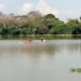 Definen selección tamaulipeca de canotaje durante estatal en Tampico