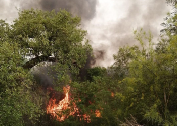 Detienen a 4 personas por provocar incendios