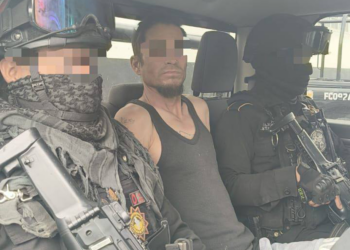 Reporta Gobierno detención del presunto maltratador del tlacuache