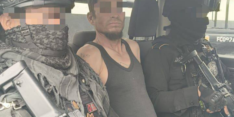Reporta Gobierno detención del presunto maltratador del tlacuache
