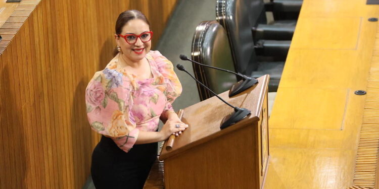 Exhortan a aplicar estrategias para erradicar violencia de género en la vía pública