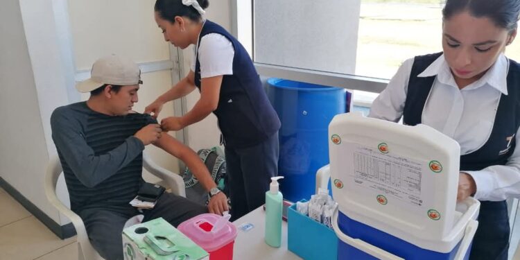 Define Salud acciones y estrategias para Primera Semana Nacional de Vacunación