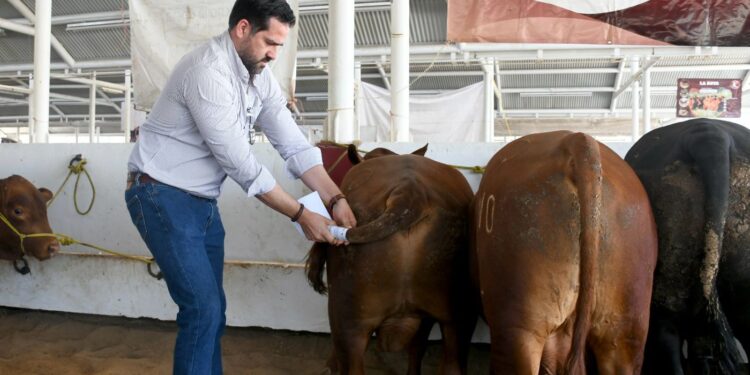 Destina Gobierno de Tamaulipas 19 millones de pesos para mejoramiento genético