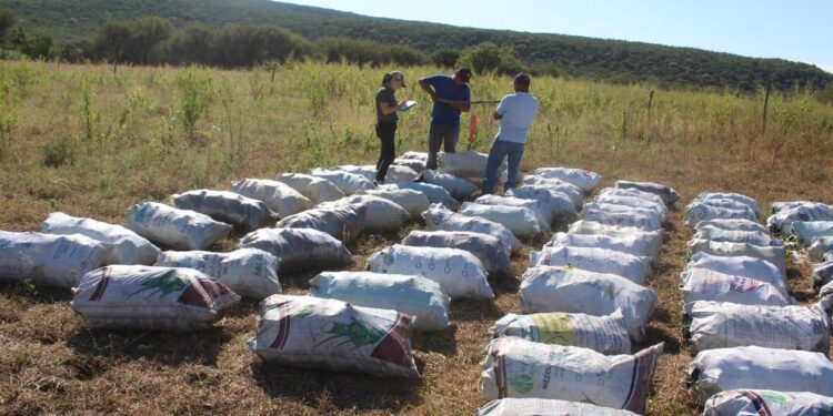 Impulsan extensionismo forestal en apoyo a productores tamaulipecos