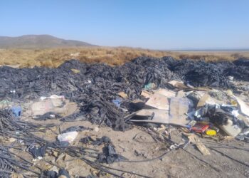 Incendio de pastizales en Tula fue provocado: PAUT