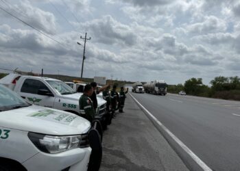 Ofrecen Ángeles Verdes 259 servicios en carreteras: Turismo