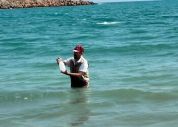 Playas y balnearios en condiciones aptas para el periodo vacacional: Salud