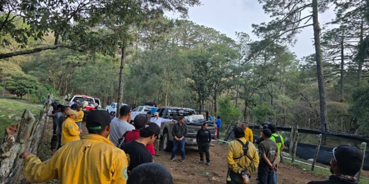 Coordinan acciones para el control del incendio forestal en Reserva de la Biosfera El Cielo