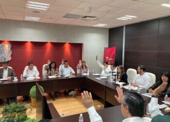 Realiza SIPINNA Tamaulipas  cuarta sesión de COMPREVNNA para fortalecer acciones contra la violencia hacia niñas, niños y adolescentes