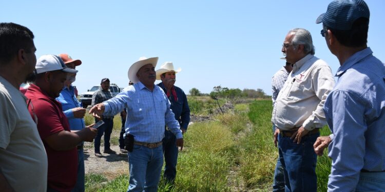Supervisa secretario de Desarrollo Rural siembra de arroz