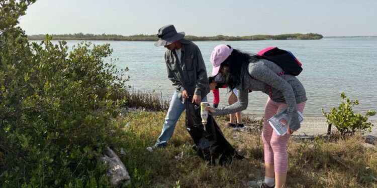 Colabora la UAT en la conservación del mangle en el litoral tamaulipeco