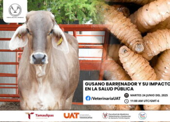 Dará la UAT conferencias sobre gusano barrenador y su impacto en la salud pública
