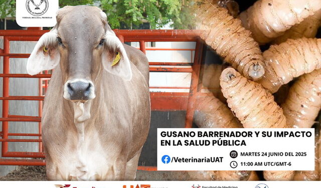 Dará la UAT conferencias sobre gusano barrenador y su impacto en la salud pública