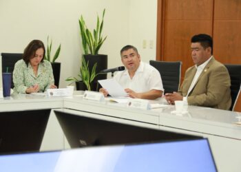 Presenta Diputado iniciativa para reforzar el combate a la pornografía infantil