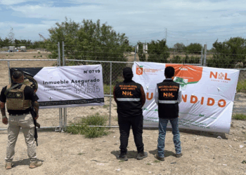 Suspende Secretaría de Medio Ambiente desmonte de especies nativas en predio de Salinas Victoria