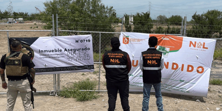 Suspende Secretaría de Medio Ambiente desmonte de especies nativas en predio de Salinas Victoria