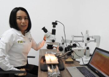 Investigadores de la UAT obtienen certificación nacional
