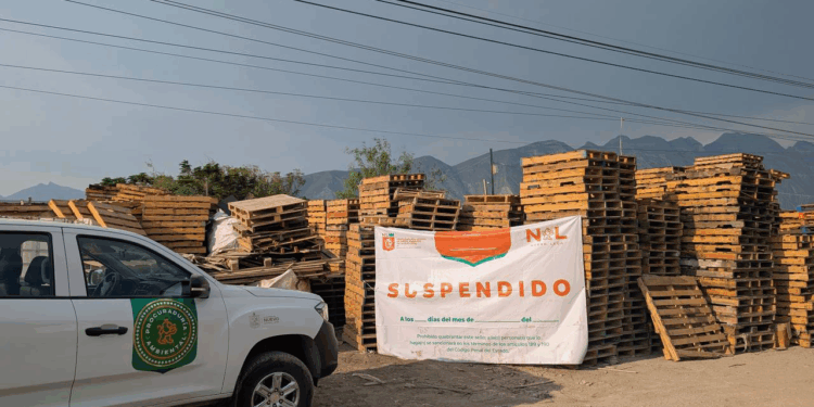 Nueva División Ambiental suspende tarimera en Santa Catarina