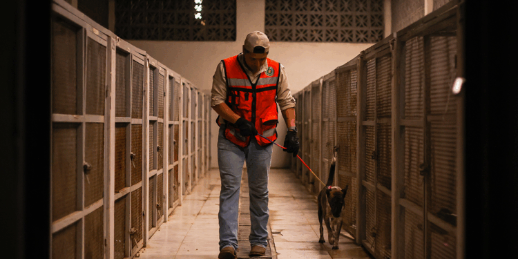 División Ambiental y Fiscalía de Nuevo León aseguran animales del Centro de Bienestar de Santa Catarina