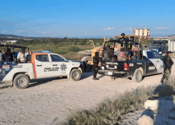 División Ambiental refuerza operativos y logra resultados contundentes