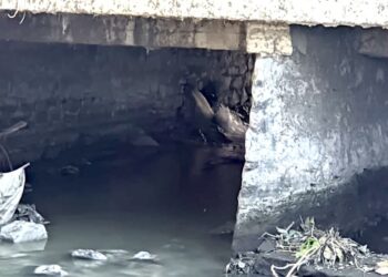 Atienden la PAUT posible riesgo ambiental en El Mante por fuga en drenaje