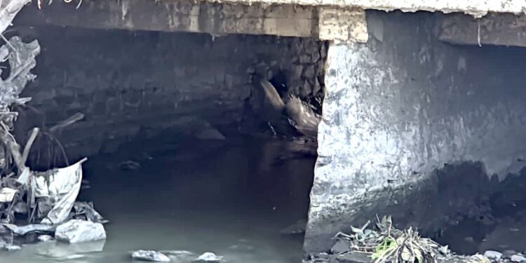 Atienden la PAUT posible riesgo ambiental en El Mante por fuga en drenaje