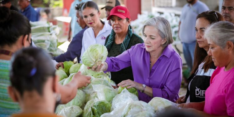 DIF Tamaulipas lleva el Mercado de Alimentos “Come Bien, Vive Bien” a las familias de Jiménez