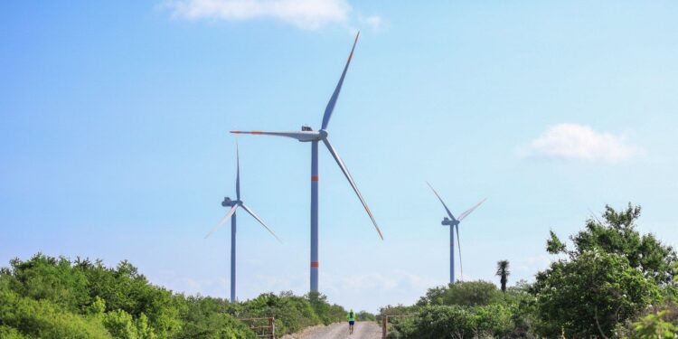 SENER anuncia inversión estratégica de 358.6 MDD en proyectos eléctricos para Tamaulipas