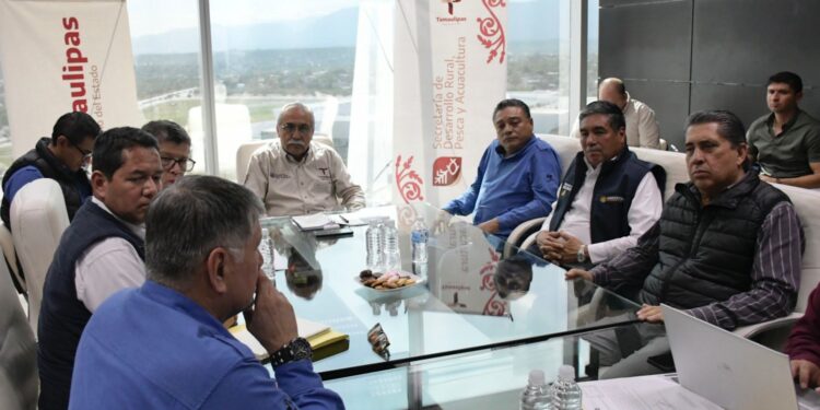 Activan en Tamaulipas plan de acción integral para proteger la sanidad pecuaria