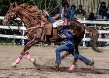 Continúa la Olimpiada Estatal del Deporte en Tamaulipas