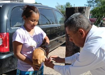 Realizarán SST e IMSS-Bienestar campaña masiva de vacunación antirrábica