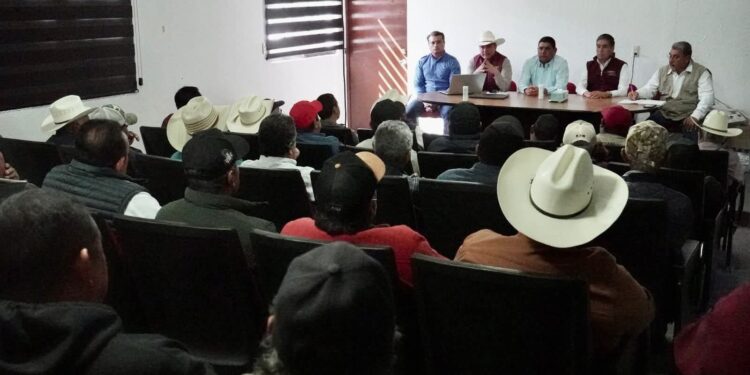 Avanza Tamaulipas en la prevención del gusano barrenador del ganado