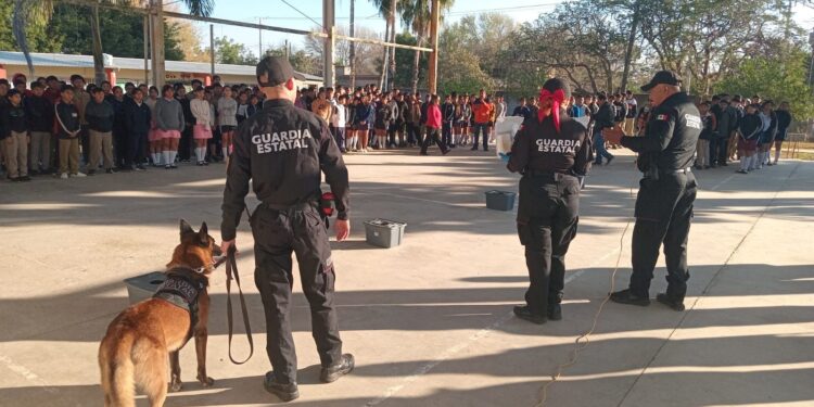 Con binomio canino antidrogas la Guardia Estatal refuerza la prevención en escuelas