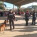 Con binomio canino antidrogas la Guardia Estatal refuerza la prevención en escuelas