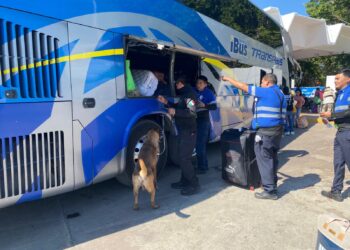 Guardia Estatal refuerza vigilancia con binomios caninos en la Central de Autobuses de Victoria