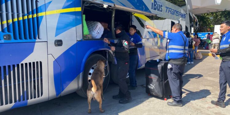 Guardia Estatal refuerza vigilancia con binomios caninos en la Central de Autobuses de Victoria