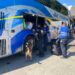 Guardia Estatal refuerza vigilancia con binomios caninos en la Central de Autobuses de Victoria