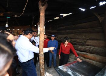 Inicia SEDENER Programa de Estufas Eficientes de Leña junto al Programa Electrificación al 100 por ciento