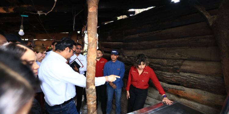Inicia SEDENER Programa de Estufas Eficientes de Leña junto al Programa Electrificación al 100 por ciento