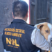 Nueva División Ambiental rescata y resguarda 5 caninos en situación de maltrato en Monterrey, Juárez y Guadalupe