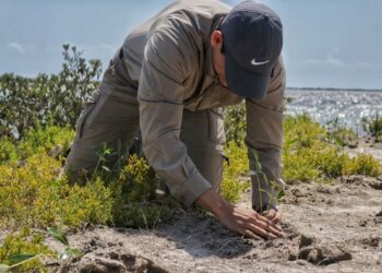 Reforesta SEDUMA litoral para cuidar comunidades y biodiversidad