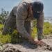 Reforesta SEDUMA litoral para cuidar comunidades y biodiversidad