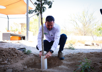 Reforestando el futuro: Secretaría de Medio Ambiente continúa arborizando planteles con Bosques Escolares