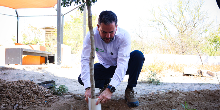 Reforestando el futuro: Secretaría de Medio Ambiente continúa arborizando planteles con Bosques Escolares